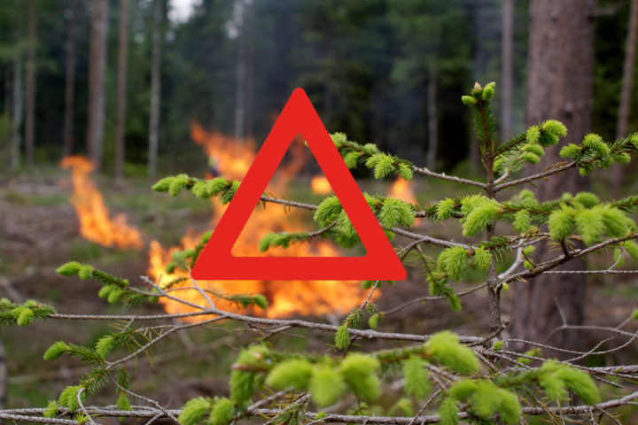 Stor skogbrannfare – unngå bruk av åpen ild! (2.juni)